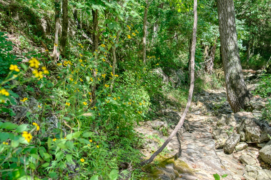 These five lots have over 200' of road frontage and are located very close to Main Street, Magnetic Spring, and the historic Eureka Springs railroad! In addition to the other 25+ miles of trails in Eureka Springs, this excellent location is a few hundred feet down the street from 18 miles of trails at the Passion Play and 5 miles of trails at Marble Flats. The amazing restaurants, shops, music venues, and hangout spots of downtown Eureka Springs are a short walk away!