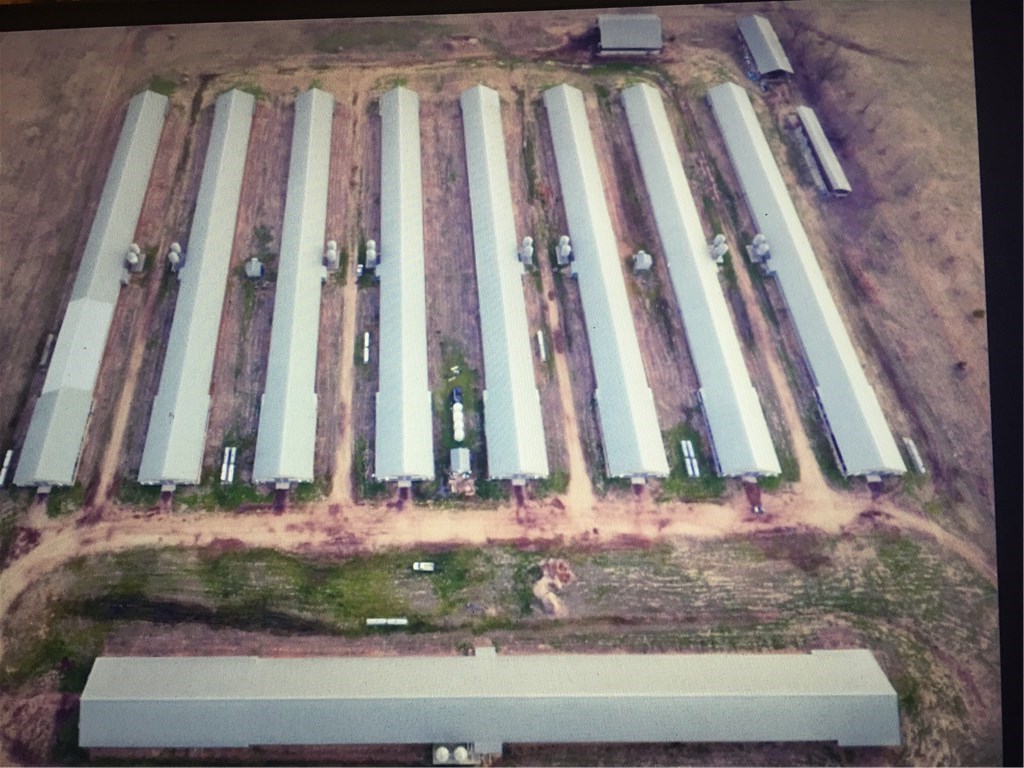 Tyson Noel - 9 house poultry farm *****There aren't a lot of large farms available - this is a great opportunity - (8) 43x530's (2004) & (1) 55x600 (2012), 3 litter shed(s), incinerator, doublewide with additional outbuildings for storage. Land (30.51 ac mol) for livestock or a hay field. The farm sits on Highway (accessible from the highway or the county road). The poultry houses have been well maintained, no known updates, recent quad heaters placed in the houses. Premium pay package with Tyson Noel contract (7 yr) in place. Well and rural water, the seller is owner/operator (no farmhand(s)), ph system is brand new, new well pumps installed, 2 gas chlorine system, wood truss with a gross income of over $500k annually!!! A doublewide with 3 BR/2 BA for your family! Why wait?  Book a showing today!
* Equipment is not included, but can be negotiated. **********APPOINTMENT ONLY - BIO-SECURITY MEASURES IN PLACE AT ALL TIMES *************