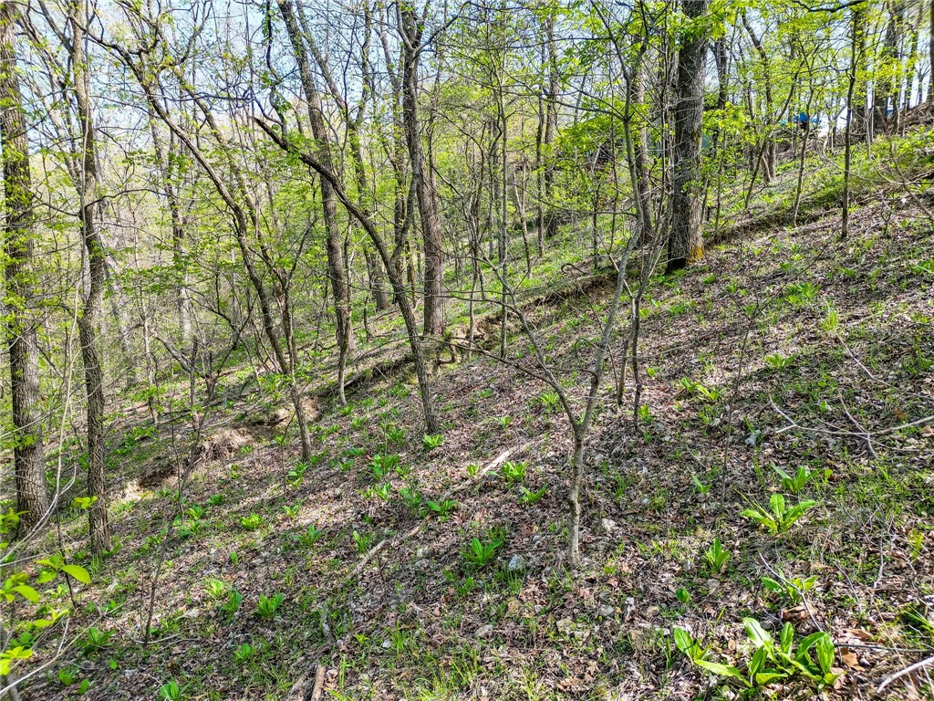 Lost Bridge Village Rurban - Land