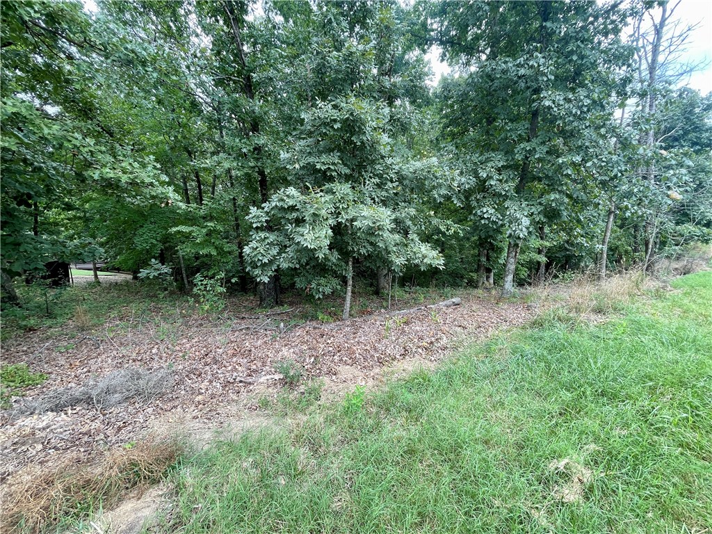 Bella Vista building lot located in a beautiful, quiet neighborhood near Scotsdale Golf Course. Just minutes from: Scotsdale Golf Course, Lake Point Restaurant, Highlands Golf Course, Loch Lomond Marina, Dog Park, biking and walking trails, and Jane, MO Wal-Mart.