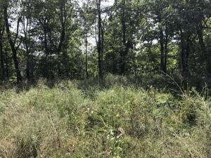 HUNTING SEASON IS FAST APPROACHING..... Bring your camper, build your cabin, the opportunity to own 2.24 acres in the Ozarks is a plus with electric & water available.