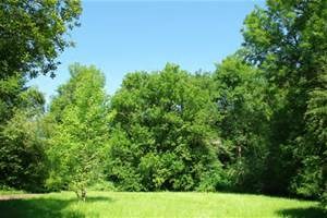 Great location in north springdale.