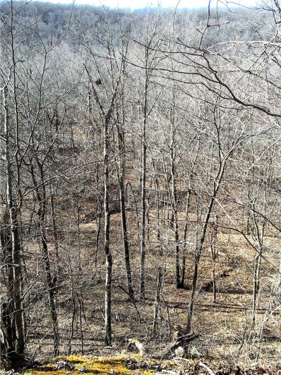No - Land
