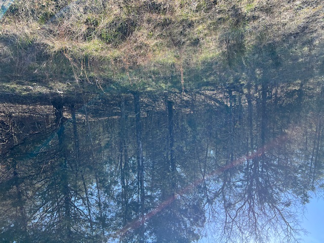 Great upsloping third of an acre lot that would make a great building lot.  Lots of amenities available such as 2 golf courses, club house, marina, fishing dock, recreation center, pickle ball courts, parks, biking/hiking trails and more.  Call to check this out today.