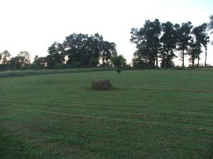 Hipp Subdivision - Residential