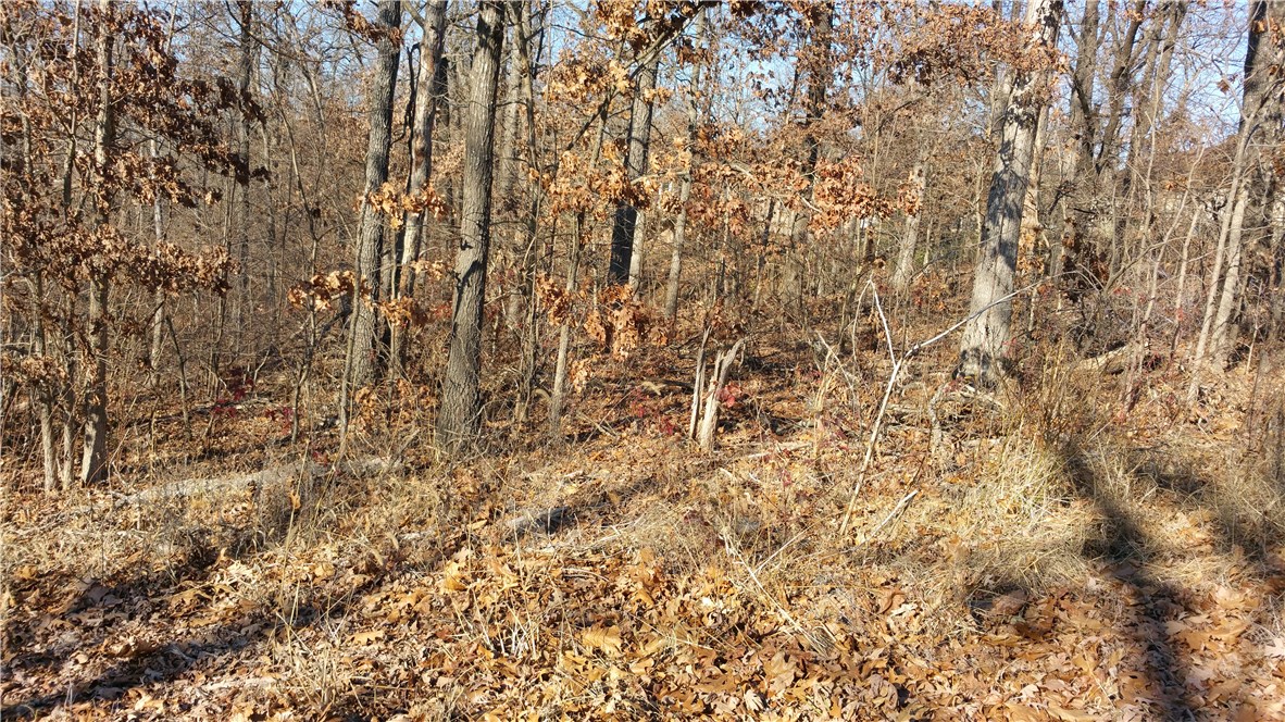 Have you seen a lake view lot this inexpensive? A wonderful building site, and coupled with the lot next to it, an incomparable value! Spend your life in the pristine beauty of Bella Vista, and enjoy the amenities that are offered; hiking, boating, fishing, golfing, and the beauties of nature.