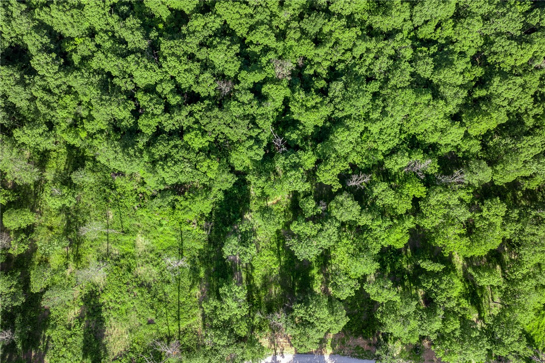 Round Mountain Estates - Land
