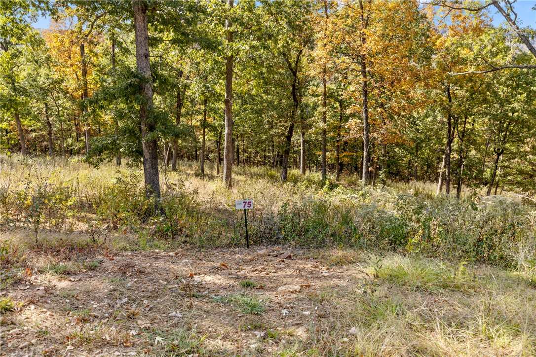 Round Mountain Estates - Land