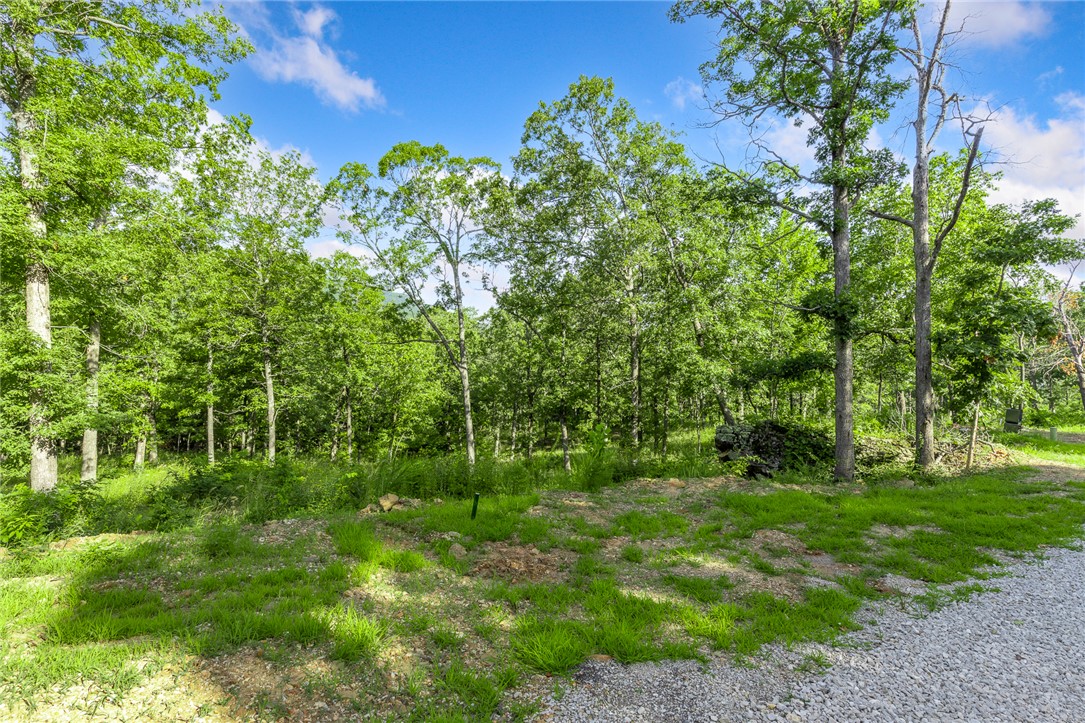 Round Mountain Estates - Land
