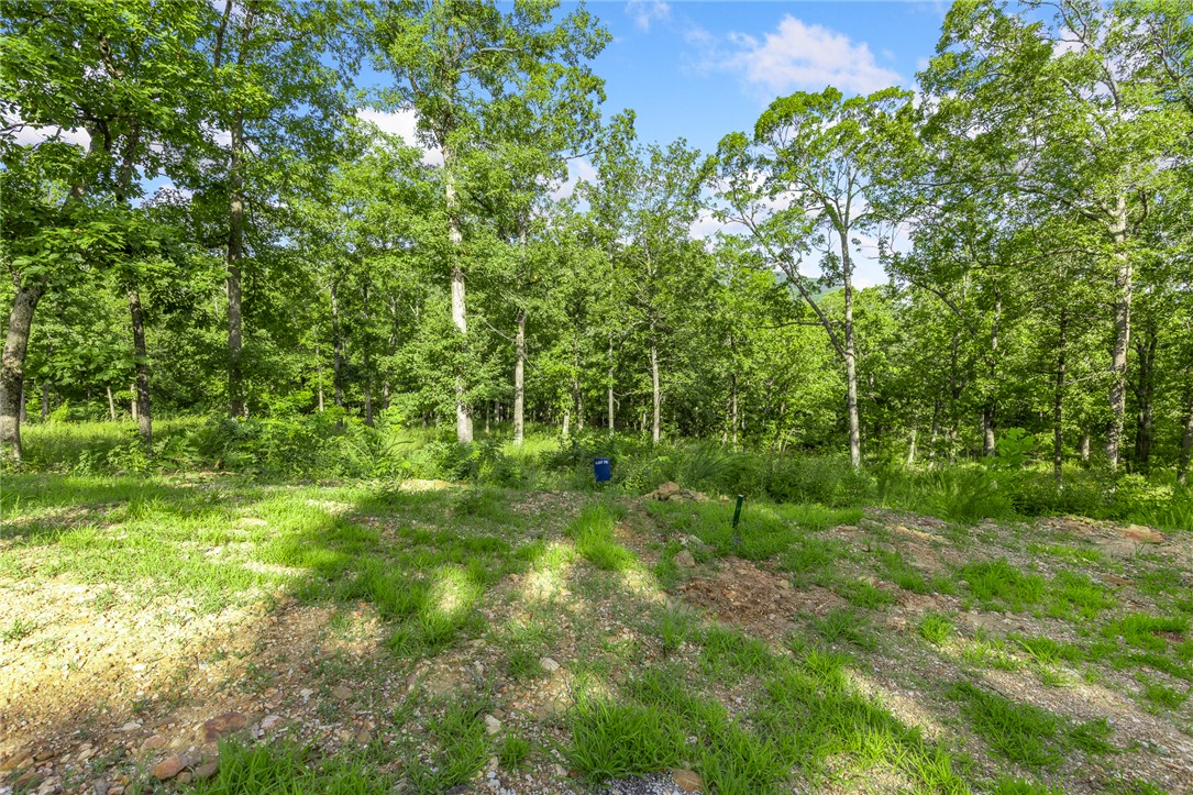 Round Mountain Estates - Land