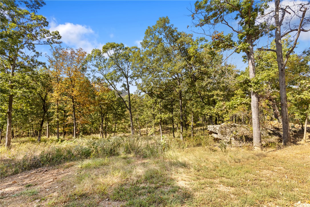 Round Mountain Estates - Land