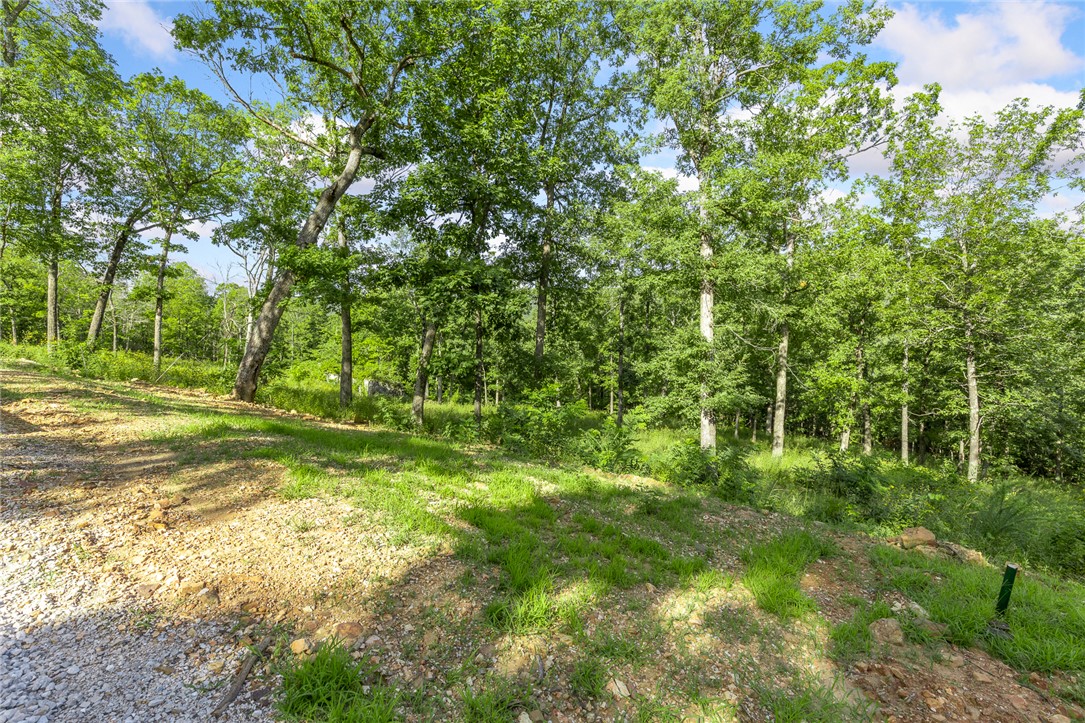 Round Mountain Estates - Land