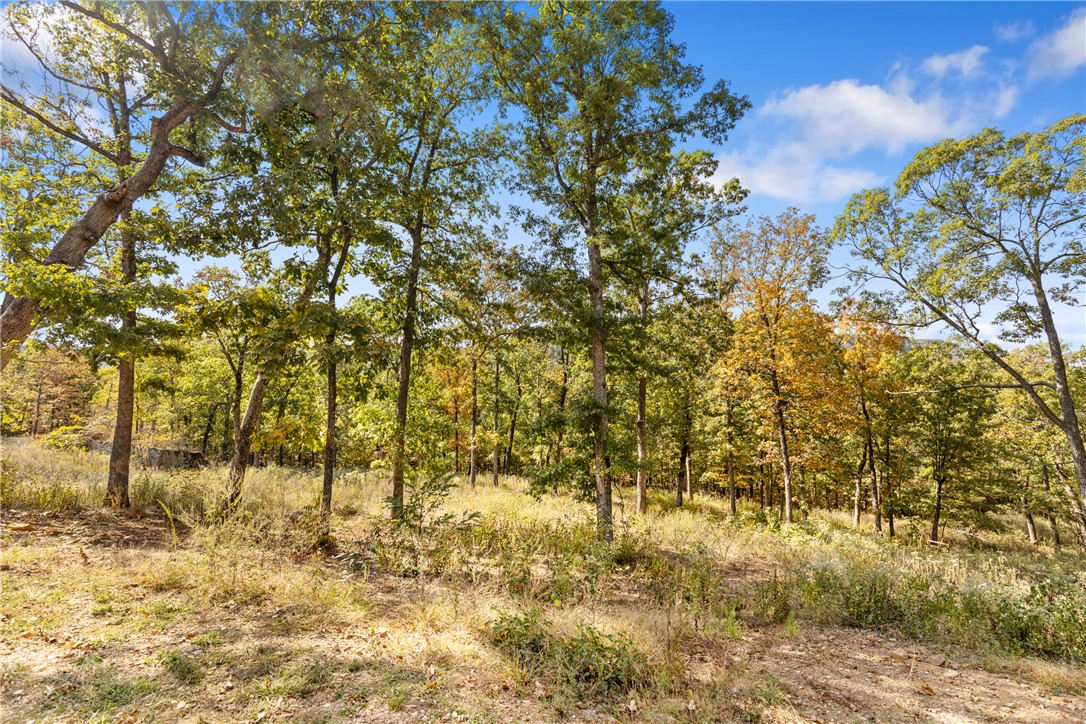 Round Mountain Estates - Land