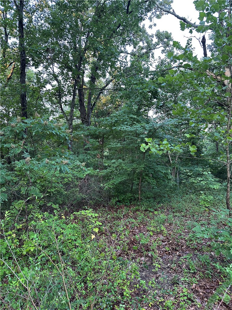 Private location sheltered by nature. Cul-de-sac lot ready to become the canvas for your painted future home. Ride the Back 40 trail, enjoy Bella Vista’s seven lakes and golf courses. Low POA fee with the most expansive amenity offering available.
