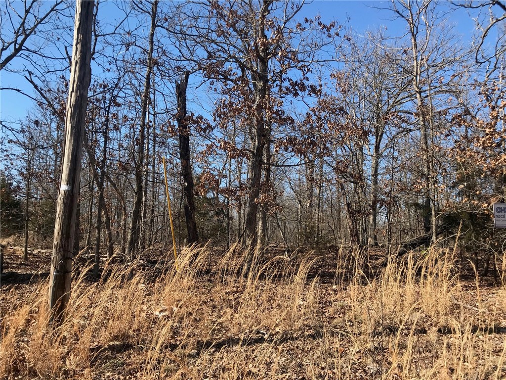 BENTONVILLE SCHOOL DISTRICT 0.34 ACRE LOT TRAIL SYSTEM NEAR BY