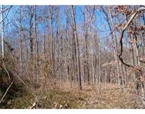Great building lot in a prime location off Highlands Blvd. Near Tiree Park, and Highlands Golf.