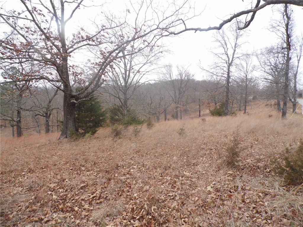 Sunset Ridge Phase I - Land