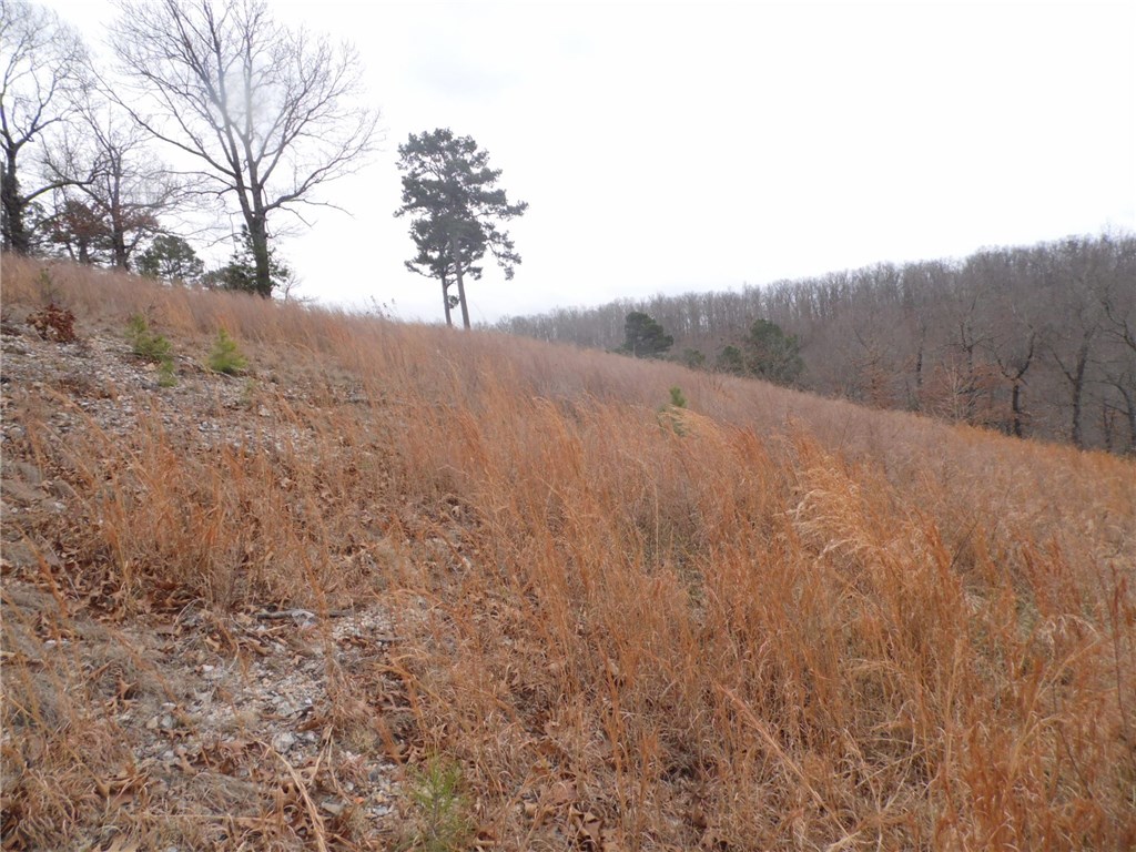 Sunset Ridge Phase I - Land