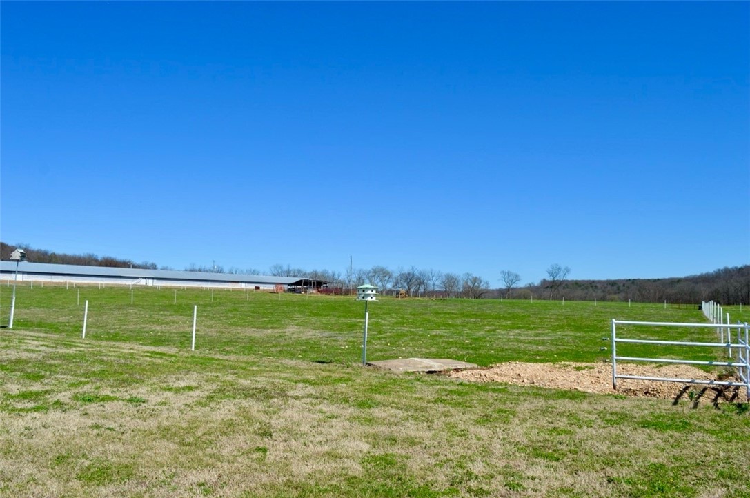 Maysville Gem - Residential