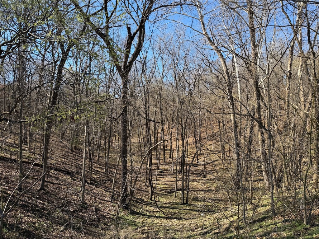 Maysville Gem - Residential