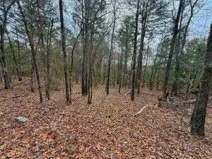Lakeridge Estates - Land