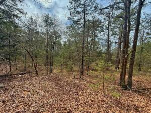 Lakeridge Estates - Land