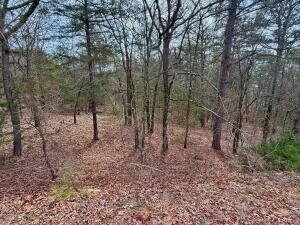 Lakeridge Estates - Land