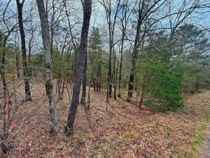 Lakeridge Estates - Land
