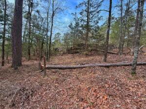 Lakeridge Estates - Land