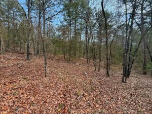 Lakeridge Estates - Land