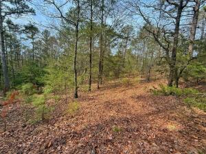Lakeridge Estates - Land