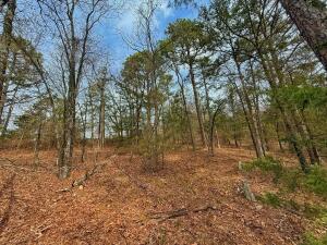 Lakeridge Estates - Land