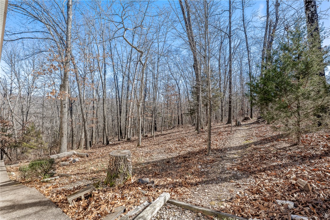 Lot with plenty of hardwoods