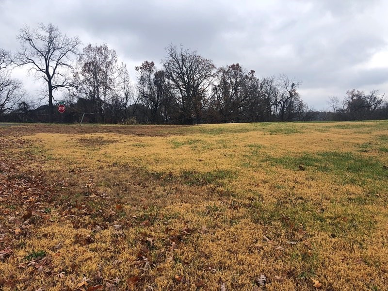 Sugar Creek - Land