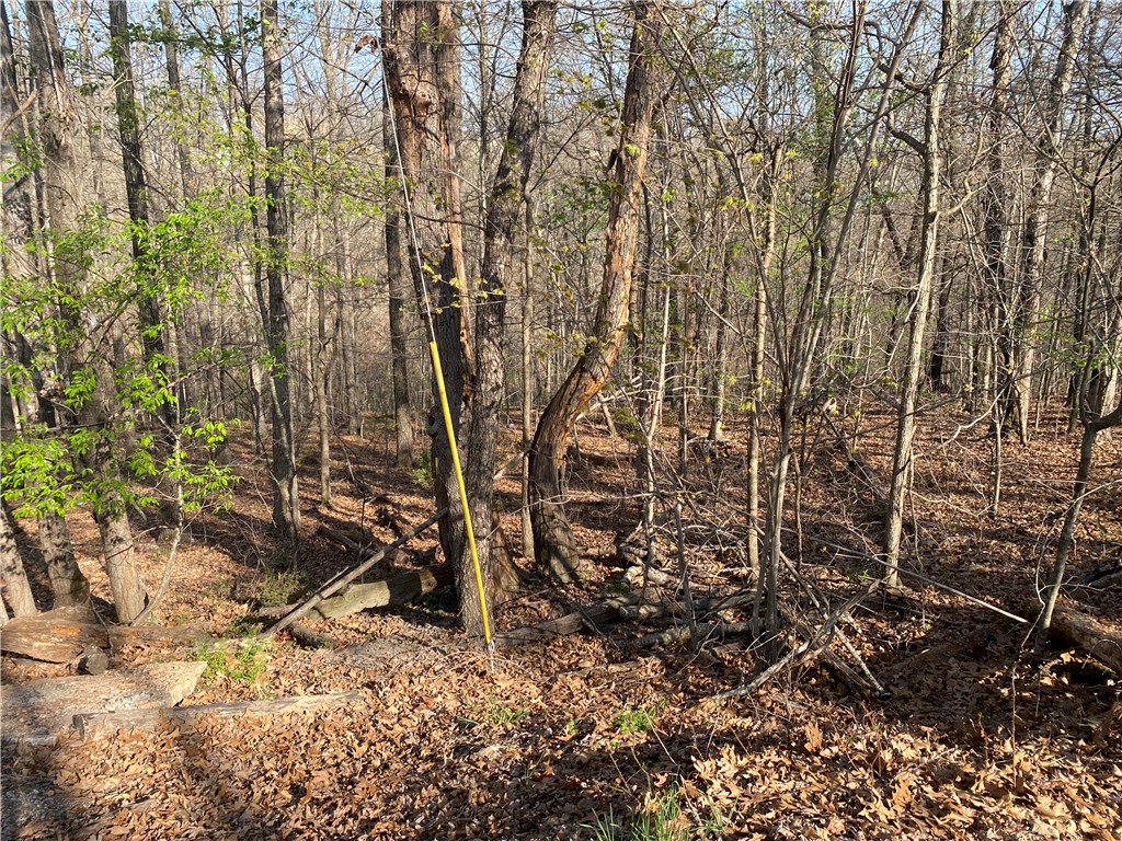 Looking to build in the highly sought-after Bella Vista? Located near Back 40 trails, not far from two Bella Vista lakes and in Bentonville school district, this property will go fast!
Save time and money with much of the work already having been done for you. Survey and plot plan have been completed, along with preliminary work to determine a workable home footprint. House plan has not been submitted to the state so you can still use a different house plan, if you'd like.