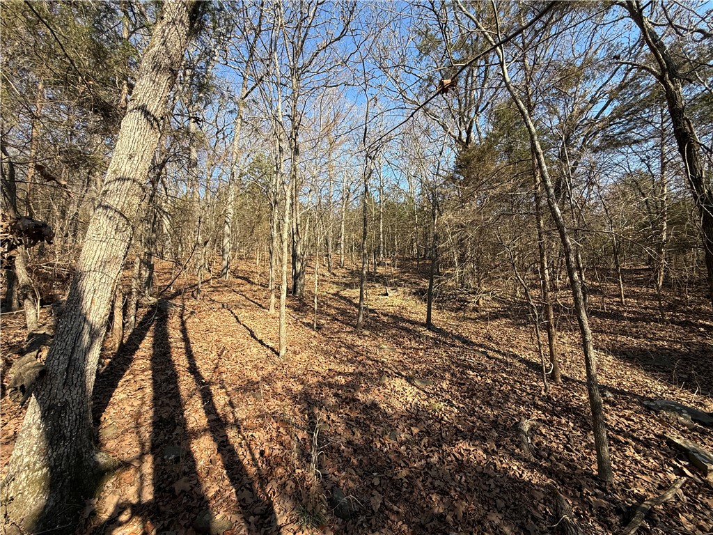 Fayetteville Outlots - Land