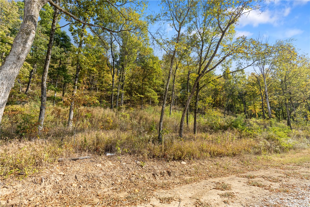 Round Mountain Estates - Land