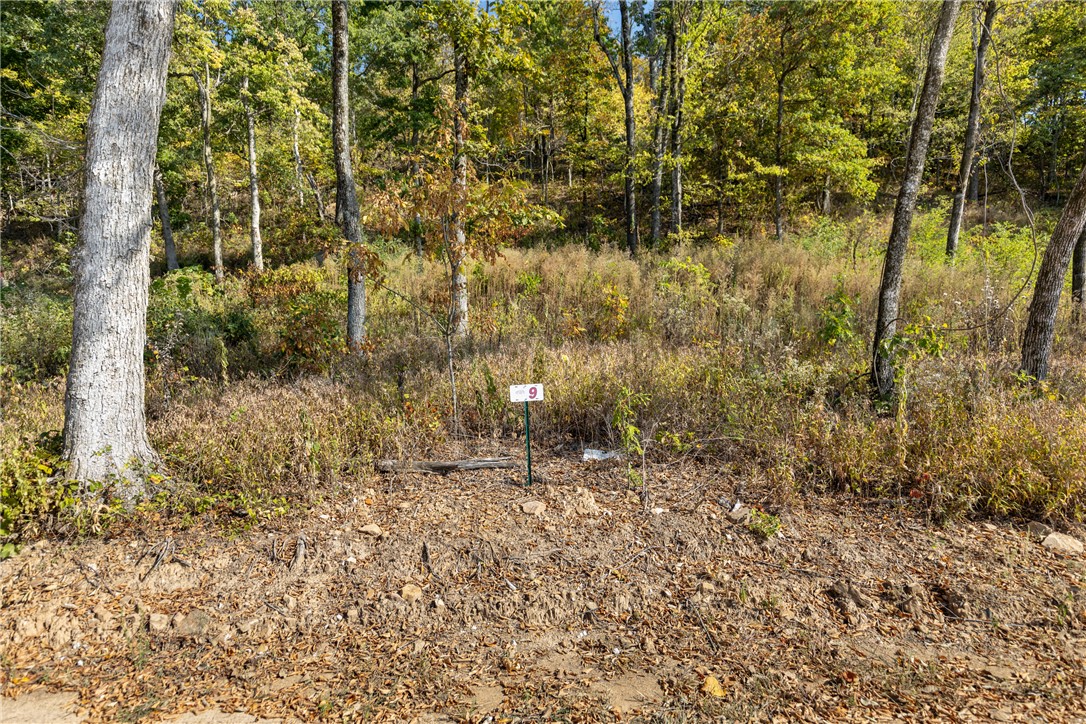 Round Mountain Estates - Land
