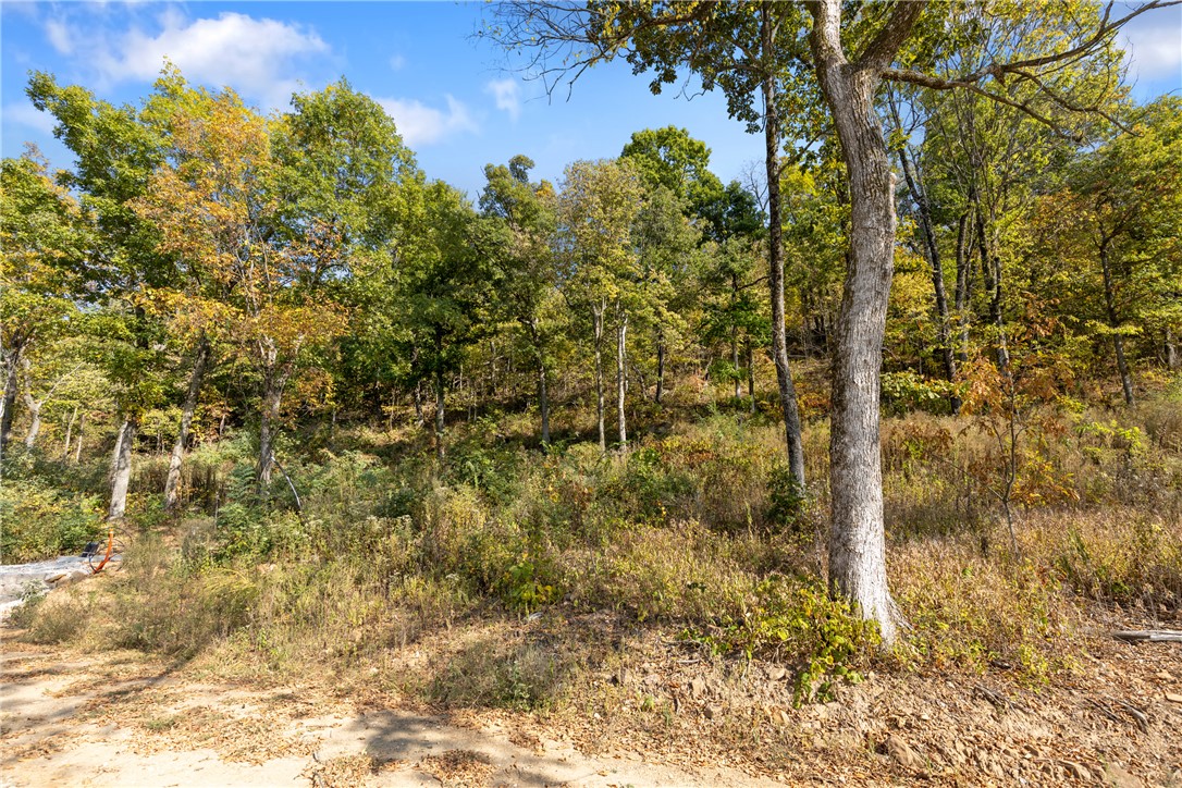 Round Mountain Estates - Land
