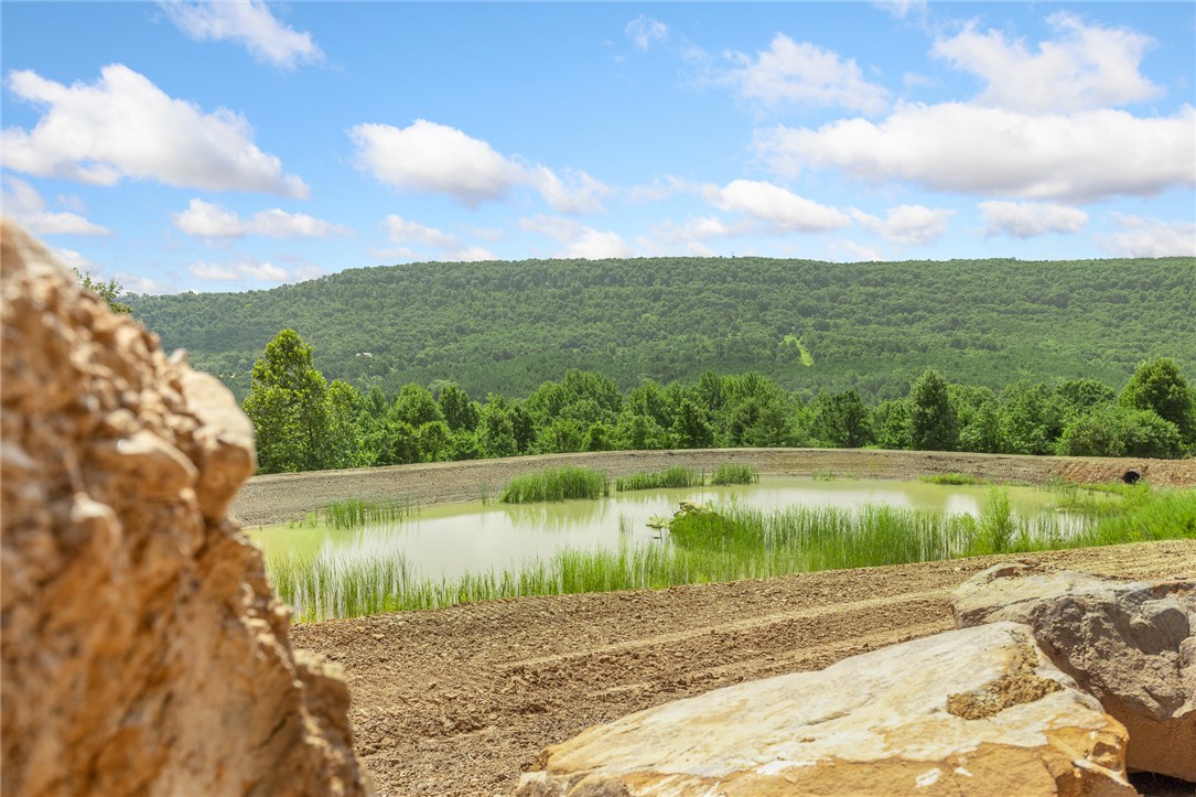 Round Mountain Estates - Land