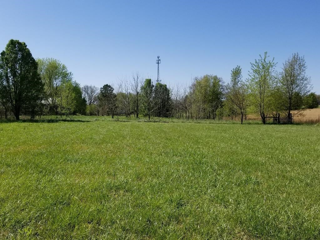 Beautiful 1.5 acre lot with lots of possibilities - in the City Limits, utilities at street.