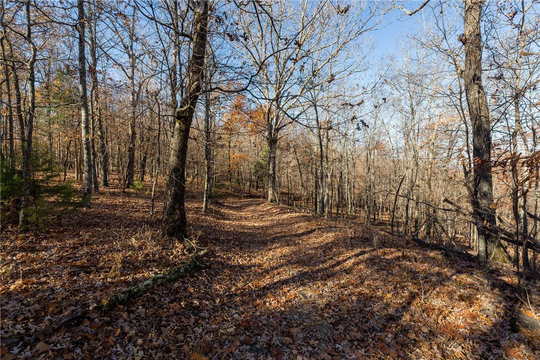Take Me Home Country Roads! Beautiful wooded land with mature hardwood timber and great building sites. This land provides privacy, yet its only a 35 minute drive from the Fayetteville Square, and a short distance from Elkins Harps, school, post office etc. Will require a driveway, well, and septic be installed. Electric is at the county road. You will need to park on the road and access land on foot. Sign and survey markers are visible. See attached deed restrictions that will be placed on the land at closing.