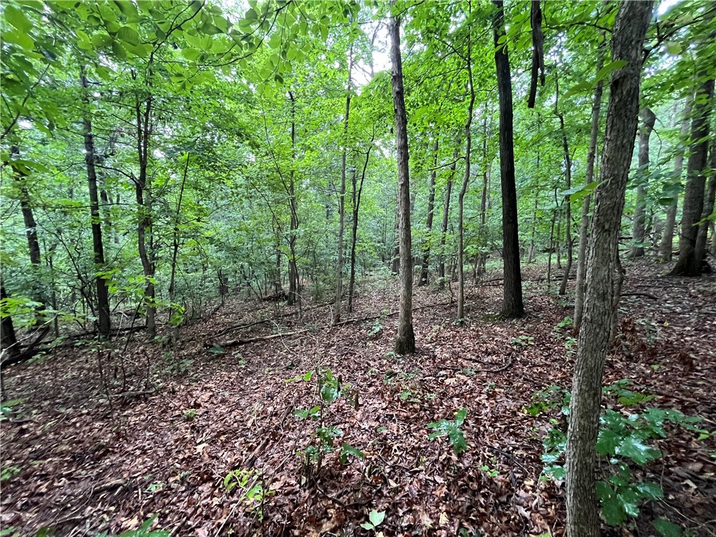 Quick access to Bella Vista renowned trail system for Mountain Biking! Affordable .33-acre lot, perc tested for up to 3-bedroom home,  Metfield Recreation Center and Razorback Greenway  less than a mile away, Golf at Dogwood or Brittany Courses, Bentonville School District, whether you're looking to build a primary residence, vacation getaway, or investment property, this lot offers a great combination of value, location and recreational access. Own an affordable piece of Bella Vista and experience everything this vibrant community has to offer.