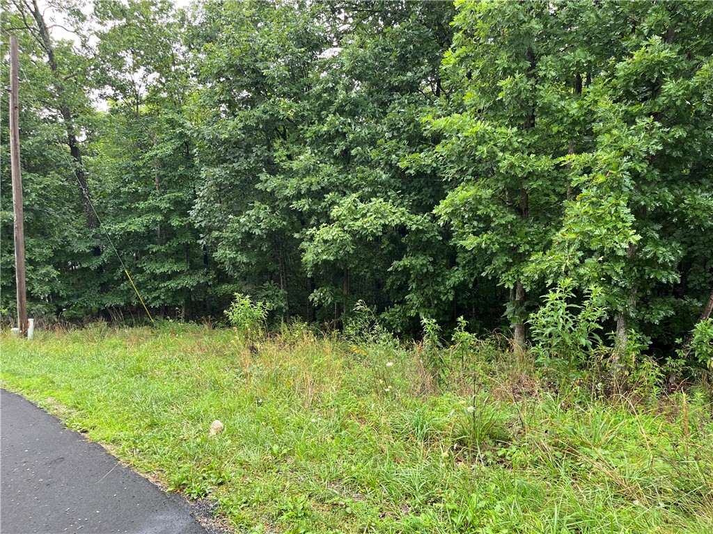 Quick access to Bella Vista renowned trail system for Mountain Biking! Affordable .33-acre lot, perc tested for up to 3-bedroom home,  Metfield Recreation Center and Razorback Greenway  less than a mile away, Golf at Dogwood or Brittany Courses, Bentonville School District, whether you're looking to build a primary residence, vacation getaway, or investment property, this lot offers a great combination of value, location and recreational access. Own an affordable piece of Bella Vista and experience everything this vibrant community has to offer.