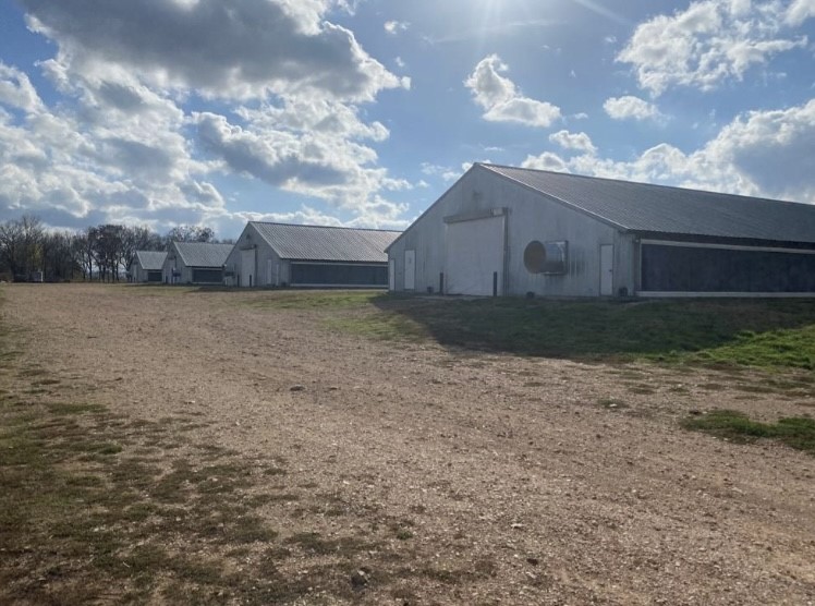 6 broiler houses, TYSON contract, no known updates. Combination of ages GREAT starter farm. Gross income with 5 flock guarantee $280k (2 houses steel trusses 42x400's and 4 houses 43x500's drop ceiling), new heaters, all houses are brooders in front and tube heaters in back, new nipples, new feed pans and new blown in insulation. Added fans and 20 foot length to cool cells. Premium pay in place. Target weight 6.80 lbs mobile home is in immaculate condition. Additional house and land can be purchased at additional price point (will require off farm income, additional down or collateral). See mls 1166478 or house with land (no poultry) mls 1167802&1166478
