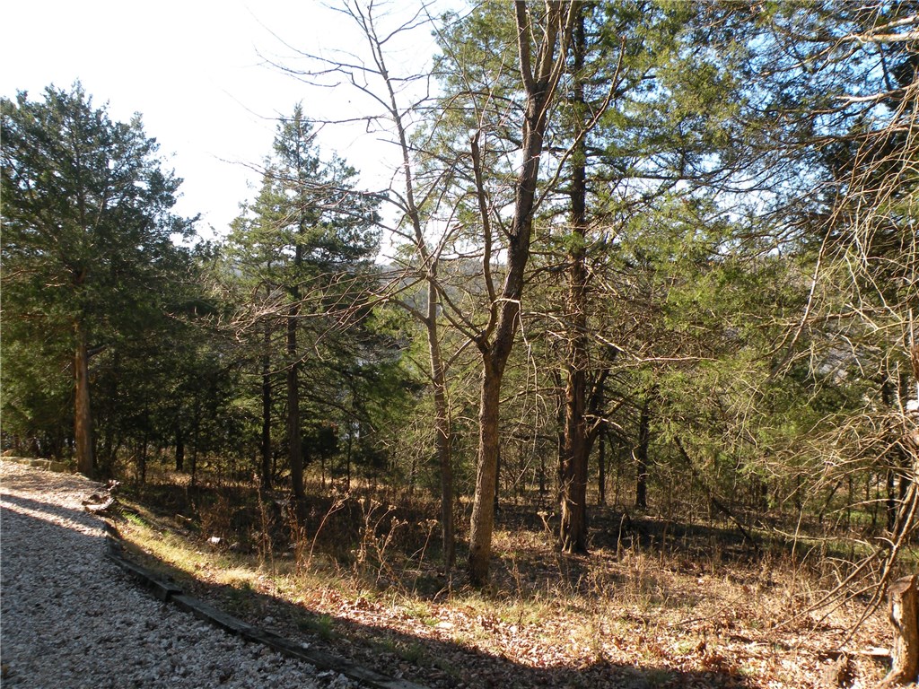 Unit 118 Holiday Island - Residential
