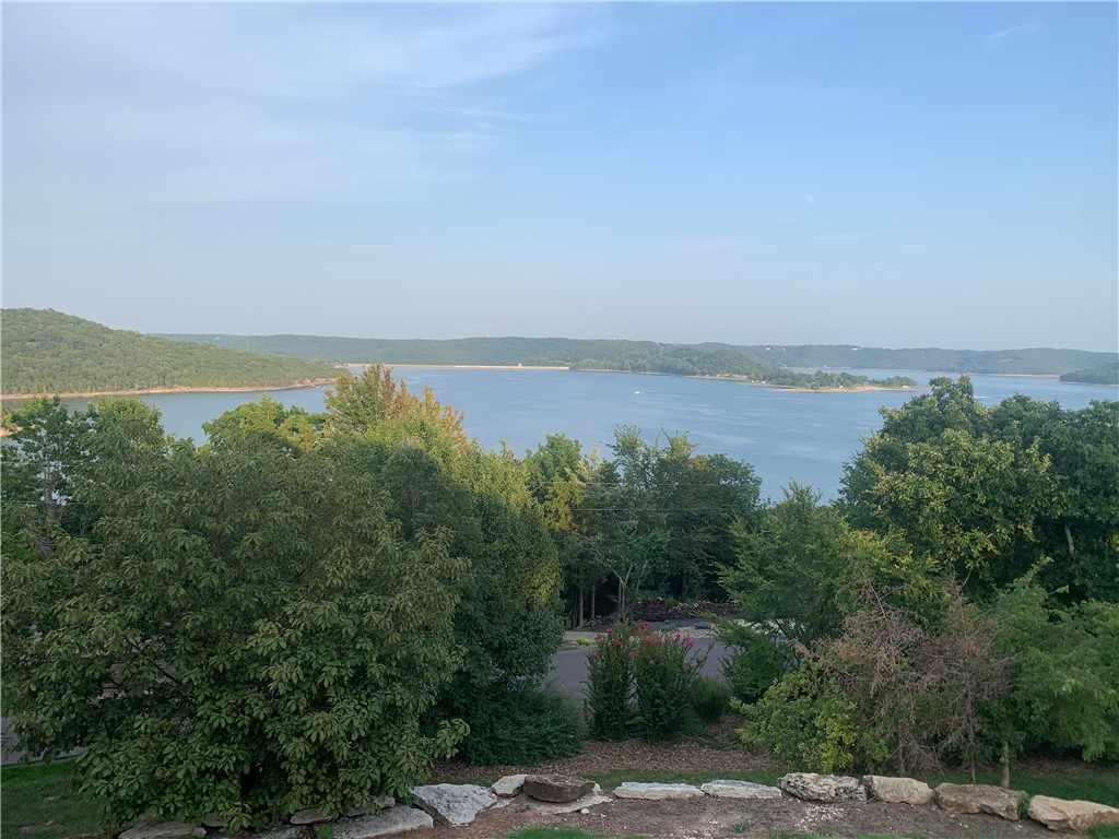 A spectacular view on the north end of Beaver Lake!