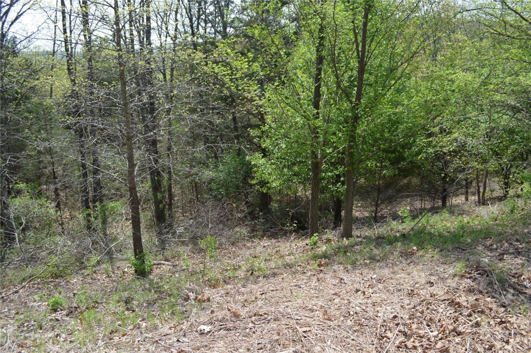 Deerpath Estates Ph II - Land