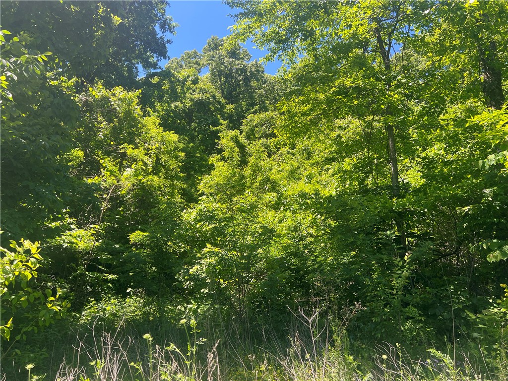 The property features a building site with lots of hardwood trees, rock bluff view, NO restrictions, and has 7.40 Acres M/L. Call today to schedule a showing.