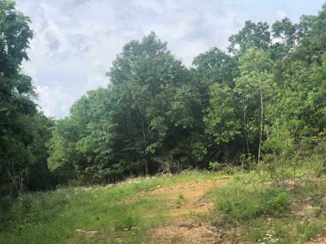 Land with convenient access to highway 412 and highway 45.  Spacious clearing in the woods for the home of your dreams to be built, a humble abode set off privately in the woods, or just a weekend getaway in the woods.
Water/Electric/Gas Utilities at the road - all will need set up if land is developed.